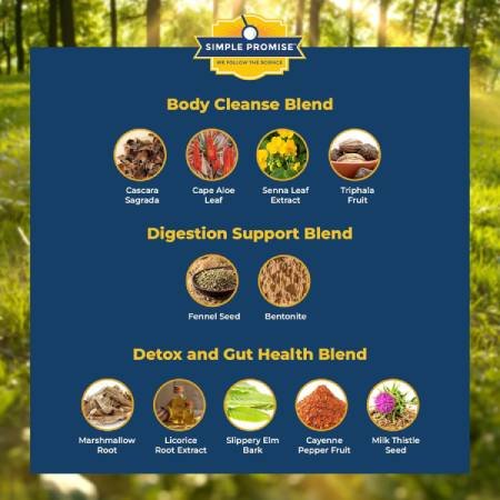 belly-flush-ingredients-natural-health-support